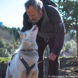 Wandern mit Hunden